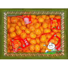 China Orange / neue Ernte Orange / Frische Mandarine Orange